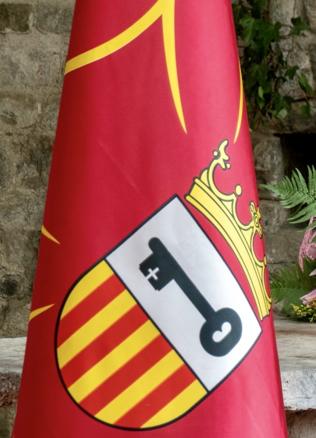 Era Hèsta d’Aran: istòria d’un país e des sues institucions